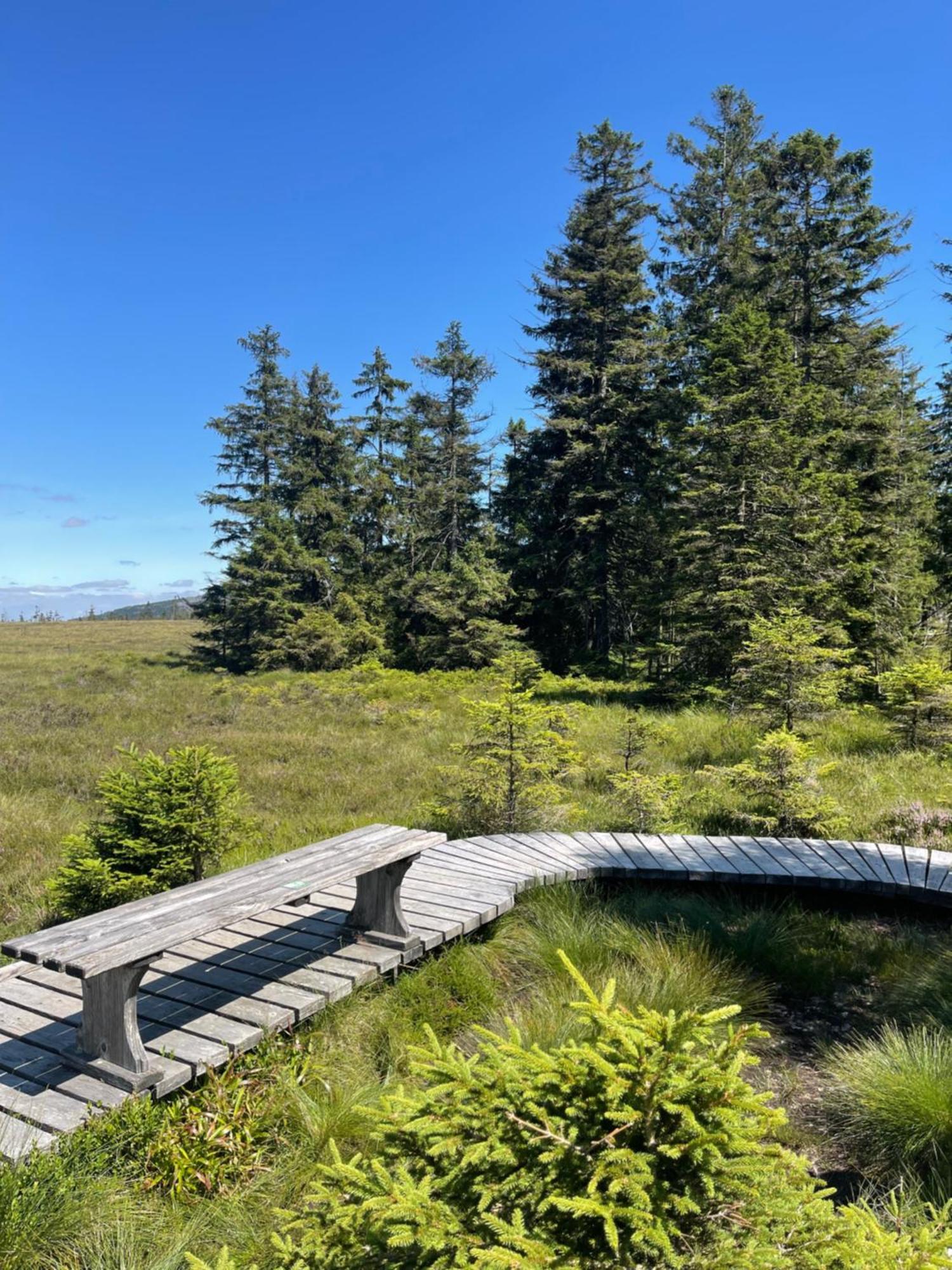 Apartmán Harz Escape Torfhaus Exteriér fotografie