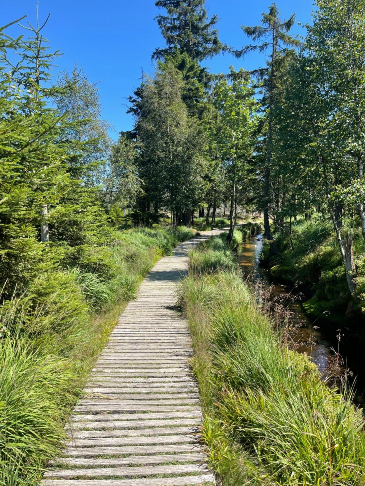 Apartmán Harz Escape Torfhaus Exteriér fotografie